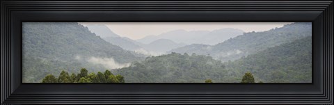 Framed Forest with mountain range, Bwindi Impenetrable Forest, Bwindi Impenetrable National Park, Uganda Print