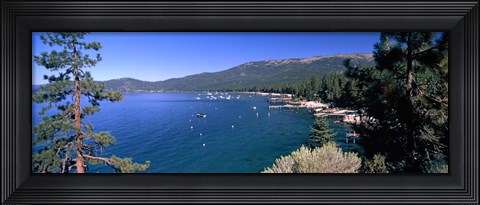 Framed Trees with lake in the background, Lake Tahoe, California, USA Print
