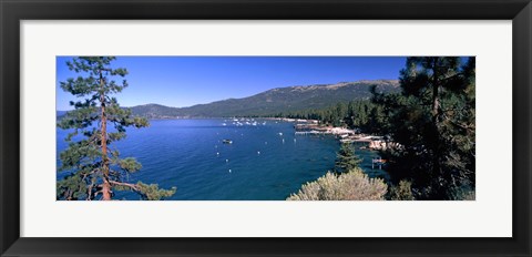 Framed Trees with lake in the background, Lake Tahoe, California, USA Print