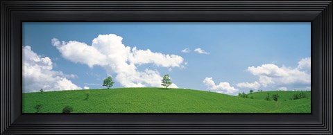 Framed Grassland with blue sky and clouds Print