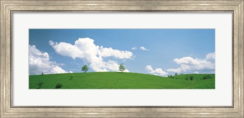 Framed Grassland with blue sky and clouds Print