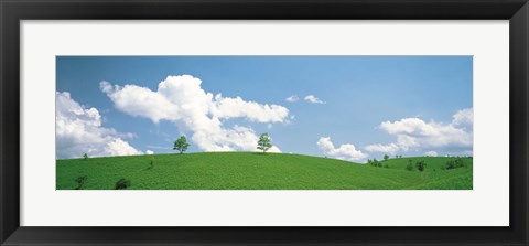 Framed Grassland with blue sky and clouds Print