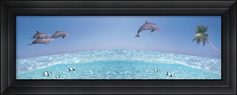 Framed Dolphins Leaping In Air Print