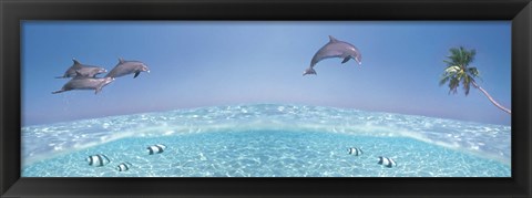 Framed Dolphins Leaping In Air Print