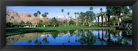 Framed Reflection of trees on water, Thunderbird Country Club, Rancho Mirage, Riverside County, California, USA Print