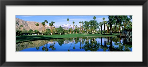 Framed Reflection of trees on water, Thunderbird Country Club, Rancho Mirage, Riverside County, California, USA Print