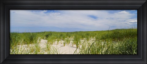 Framed Sand dunes at Crane Beach, Ipswich, Essex County, Massachusetts, USA Print