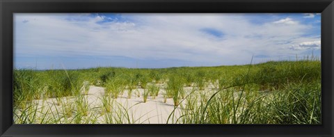 Framed Sand dunes at Crane Beach, Ipswich, Essex County, Massachusetts, USA Print