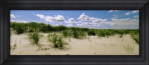 Framed Grass among the dunes, Crane Beach, Ipswich, Essex County, Massachusetts, USA Print