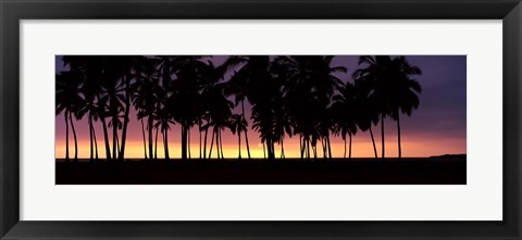 Framed Silhouette of palm trees on the beach, Puuhonua o Honaunau National Historical Park, Big Island, Hawaii, USA Print