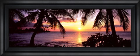 Framed Palm trees on the coast, Kohala Coast, Big Island, Hawaii, USA Print