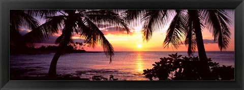 Framed Palm trees on the coast, Kohala Coast, Big Island, Hawaii, USA Print