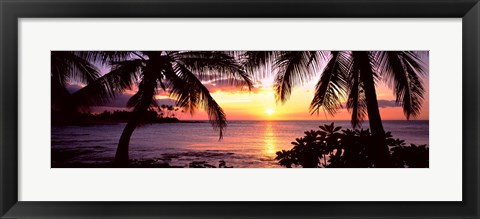 Framed Palm trees on the coast, Kohala Coast, Big Island, Hawaii, USA Print