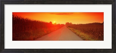 Framed Country road at sunset, Milton, Northumberland County, Pennsylvania, USA Print