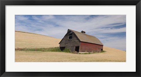 Framed Barn in a wheat field, Colfax, Whitman County, Washington State, USA Print