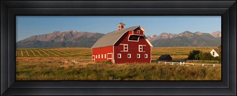 Framed Barn in a field with a Wallowa Mountains in the background, Enterprise, Wallowa County, Oregon, USA Print