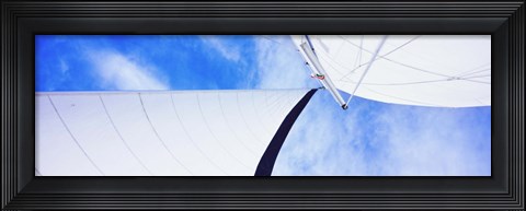 Framed Low angle view of sails on a Sailboat, Gulf of California, La Paz, Baja California Sur, Mexico Print