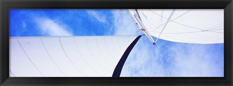 Framed Low angle view of sails on a Sailboat, Gulf of California, La Paz, Baja California Sur, Mexico Print