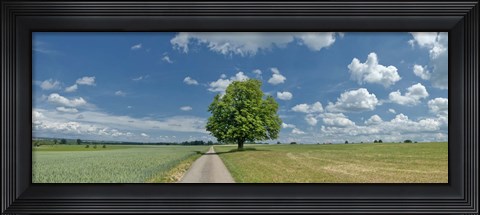 Framed Country road passing through a field, Horb Am Neckar, Baden-Wurttemberg, Germany Print