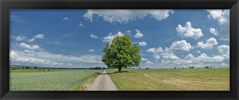 Framed Country road passing through a field, Horb Am Neckar, Baden-Wurttemberg, Germany Print