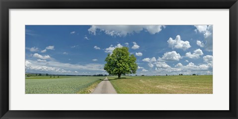Framed Country road passing through a field, Horb Am Neckar, Baden-Wurttemberg, Germany Print