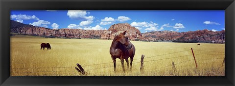 Framed Horses Grazing at Kolob Reservoir, Utah Print