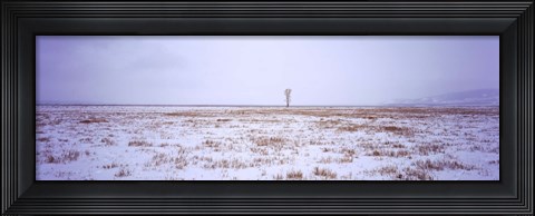 Framed Snow covered landscape in winter, Antelope Flat, Grand Teton National Park, Wyoming, USA Print