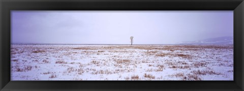 Framed Snow covered landscape in winter, Antelope Flat, Grand Teton National Park, Wyoming, USA Print