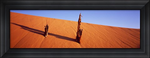 Framed Dead Pines at Coral Pink Sand Dunes State Park, Utah Print