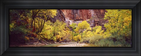Framed Creek at sunset, Death Valley, California, USA Print
