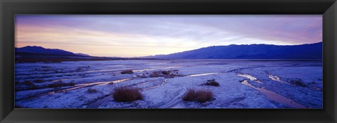 Framed Snow covered landscape in winter at dusk, Temple Sinacana, Zion National Park, Utah, USA Print