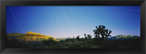 Framed Star trails over Red Rock Canyon National Conservation Area, Nevada, USA Print