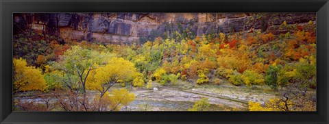 Framed Big Bend in fall, Zion National Park, Utah, USA Print