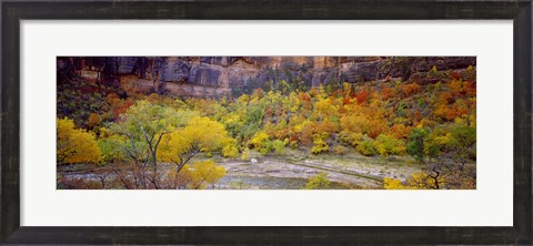 Framed Big Bend in fall, Zion National Park, Utah, USA Print