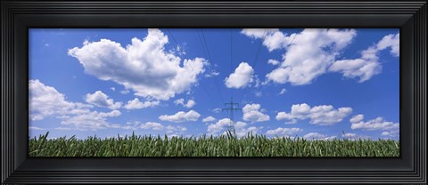 Framed Wheat field and transmission tower, Baden-Wurttemberg, Germany Print