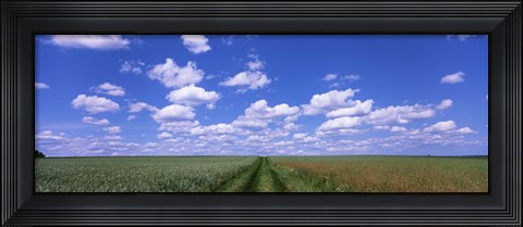 Framed Road through agriculture fields, Baden-Wurttemberg, Germany Print
