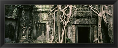 Framed Ruins of Ta Prohm Temple, Angkor, Cambodia Print