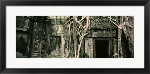 Framed Ruins of Ta Prohm Temple, Angkor, Cambodia Print