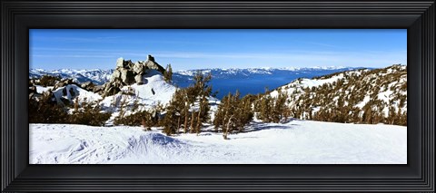 Framed Trees on a snow covered landscape, Heavenly Mountain Resort, Lake Tahoe, California-Nevada Border, USA Print