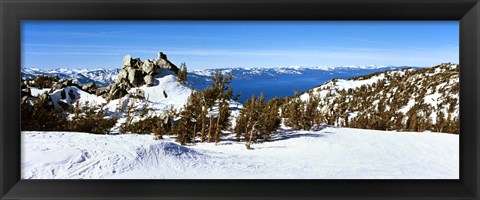 Framed Trees on a snow covered landscape, Heavenly Mountain Resort, Lake Tahoe, California-Nevada Border, USA Print