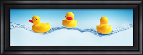 Framed Three ducks on water Print