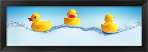 Framed Three ducks on water Print