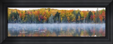 Framed Trees in autumn at Lake Hiawatha, Alger County, Upper Peninsula, Michigan, USA Print