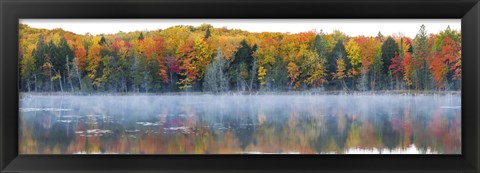 Framed Trees in autumn at Lake Hiawatha, Alger County, Upper Peninsula, Michigan, USA Print