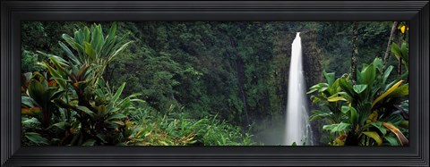 Framed Akaka Falls State Park, Hawaii, USA Print
