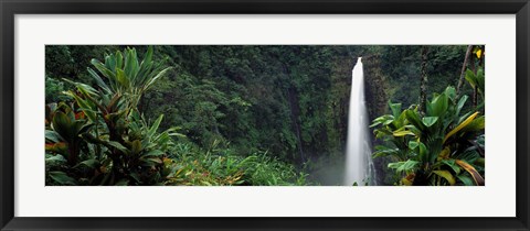 Framed Akaka Falls State Park, Hawaii, USA Print