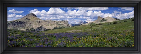 Framed USA, Wyoming, Grand Teton Park Print