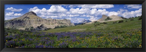 Framed USA, Wyoming, Grand Teton Park Print