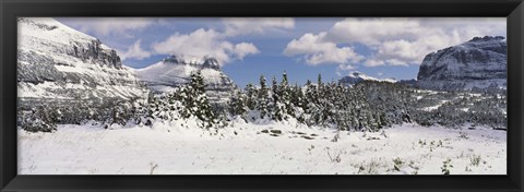 Framed Mountains with trees in winter, Logan Pass, US Glacier National Park, Montana, USA Print