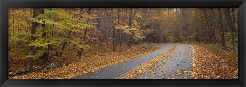 Framed Road passing through autumn forest, Great Smoky Mountains National Park, Cherokee, North Carolina, USA Print